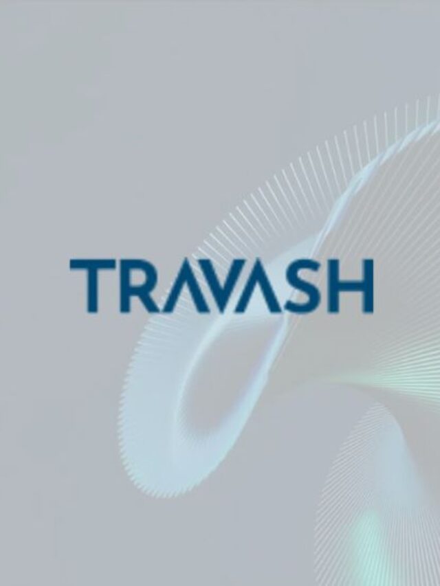 Travash Software Solutions: Empowering Indian Businesses with Tailored IT Solutions